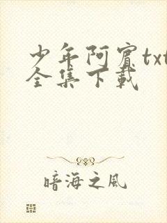 少年阿宾txt全集下载