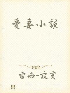 爱妻小说
