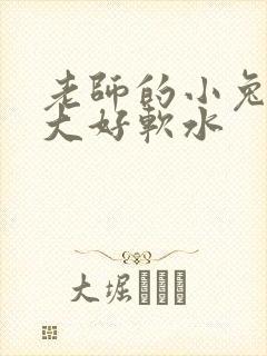老师的小兔子好大好软水