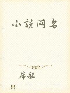 小说网名