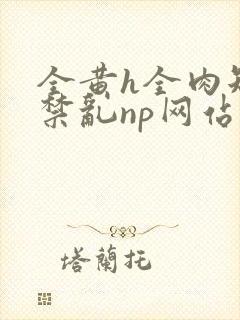 全黄h全肉短篇禁乱np网站