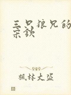 三只狼兄的宠妻宋钦