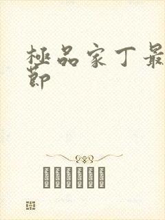 极品家丁最新章节