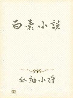 白素小说