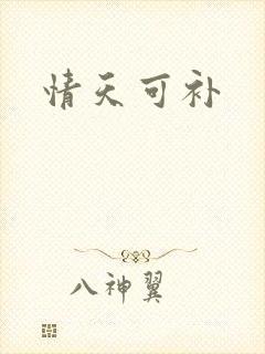 情天可补