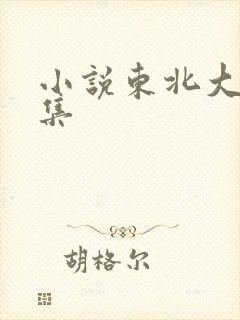 小说东北大炕全集