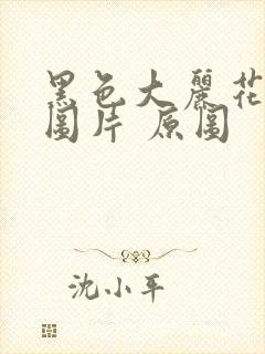 黑色大丽花真实图片 原图