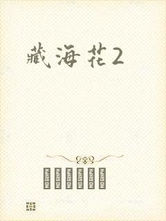 藏海花2