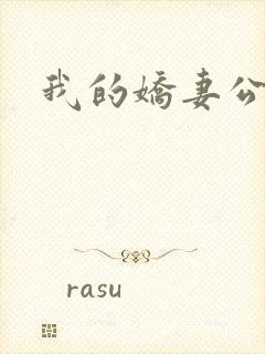 我的娇妻公务员