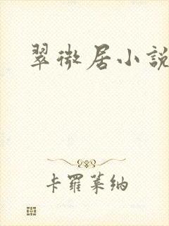 翠微居小说