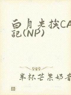 白月光挨CAO记(NP)