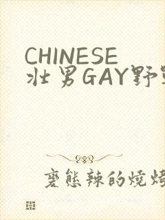 CHINESE壮男GAY野战强迫TUBE