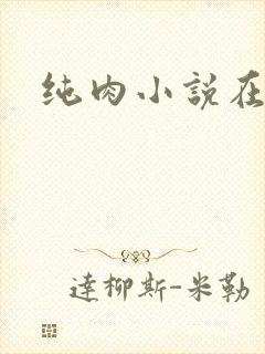纯肉小说在线