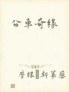 公车奇缘