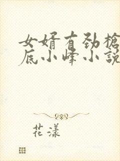 女婿有劲枪枪到底小峰小说