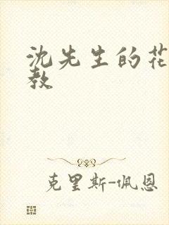 沈先生的花式管教