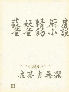 苏妖精厨房爹爹爸爸的小说