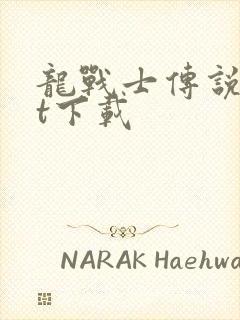 龙战士传说txt下载