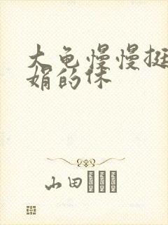 大龟慢慢挺进张娟的休