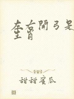 左右开弓是什么生肖