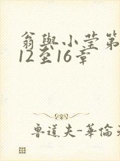 翁与小莹第十部12至16章