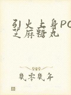 引火上身POP芝麻糖丸