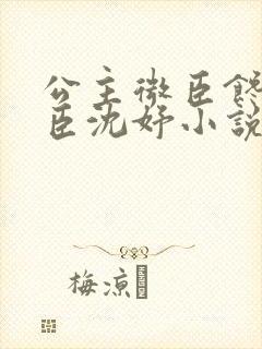 公主微臣馋了微臣沈妤小说