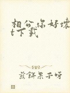 相公你好坏txt下载