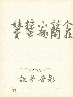 妹控小说全文免费笔趣阁在线阅读