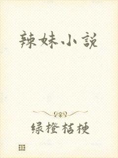 辣妹小说
