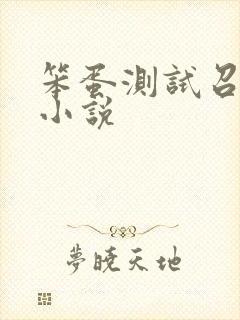 笨蛋测试召唤兽小说