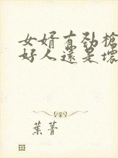 女婿有劲枪枪是好人还是坏人