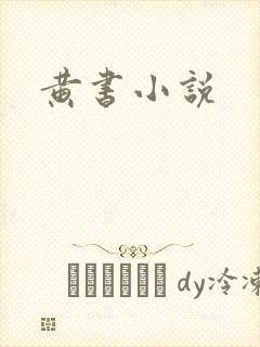 黄书小说