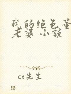 我的绝色董事长老婆 小说