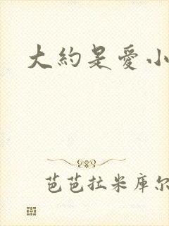 大约是爱小说