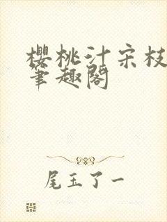 樱桃汁宋枝江野笔趣阁