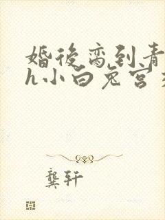 婚后脔到青梅哭h小白兔宫交h