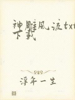 神雕风流txt下载