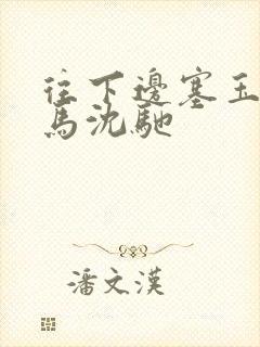 往下边塞玉器骑马沈驰