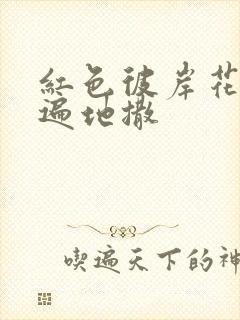 红色彼岸花花瓣遍地撒