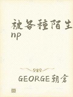 被各种陌生人 np