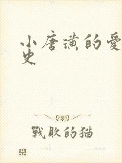 小唐璜的爱情历史