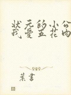 状元的小公主(我爱五花肉)