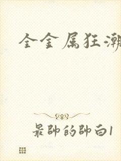 全金属狂潮小说