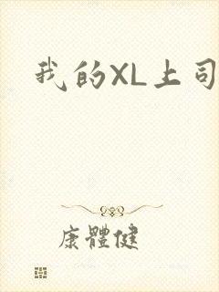 我的XL上司