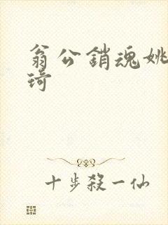 翁公销魂姚瑶琦琦