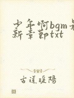 少年啊bgm最新章节txt
