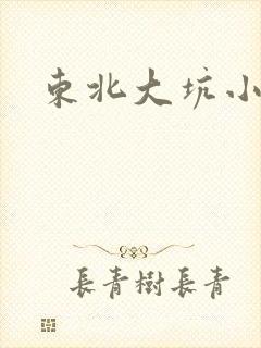 东北大坑小说