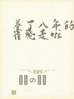 养了八年的金丝雀飞走啦