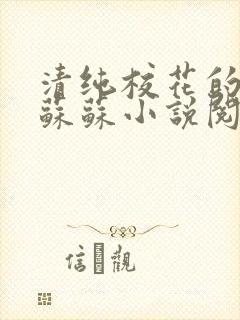 清纯校花的日常苏苏小说阅读全文